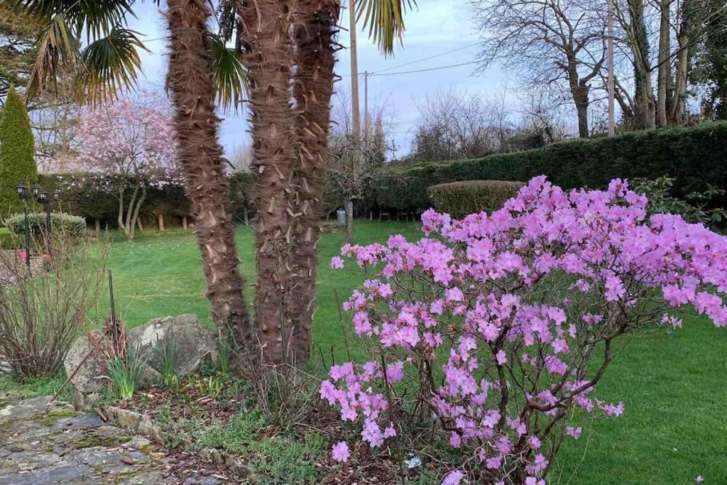 Le Nalousie Villa Livry  Eksteriør bilde